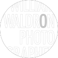 review photo for village home cleaning services new york city